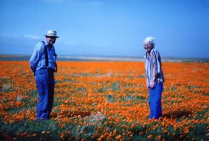 Fun day in the poppy fields of California